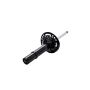 FCS Struts 337079L Suspension Strut