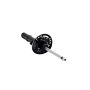 FCS Struts 337079R Suspension Strut