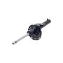 FCS Struts 337133 Suspension Strut