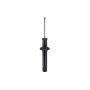 FCS Struts 337161 Suspension Strut