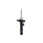 FCS Struts 337178L Suspension Strut