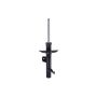 FCS Struts 337228L Suspension Strut