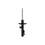 FCS Struts 337234L Suspension Strut