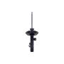 FCS Struts 337234L Suspension Strut