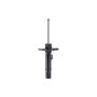 FCS Struts 337238R Suspension Strut