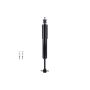 FCS Struts 341519 Shock Absorber