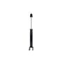 FCS Struts 341521 Shock Absorber