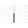 FCS Struts 341522 Shock Absorber