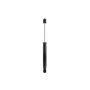 FCS Struts 341524 Shock Absorber