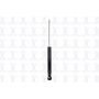 FCS Struts 341529 Shock Absorber
