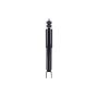 FCS Struts 341531 Shock Absorber