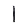 FCS Struts 341556 Shock Absorber