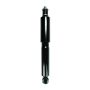 FCS Struts 341562 Shock Absorber