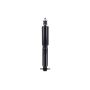 FCS Struts 341575 Shock Absorber