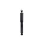 FCS Struts 341576 Shock Absorber