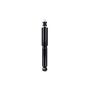 FCS Struts 341579 Shock Absorber