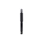 FCS Struts 341598 Shock Absorber