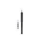 FCS Struts 341622 Shock Absorber