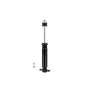 FCS Struts 341638 Shock Absorber