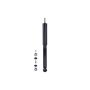 FCS Struts 341666 Shock Absorber