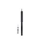 FCS Struts 341952 Shock Absorber