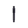 FCS Struts 342386 Shock Absorber