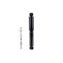 FCS Struts 342467 Shock Absorber