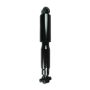 FCS Struts 342495 Shock Absorber