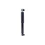 FCS Struts 342579 Shock Absorber