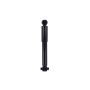 FCS Struts 342589 Shock Absorber