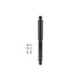 FCS Struts 342780 Shock Absorber