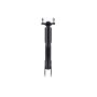 FCS Struts 342848 Shock Absorber