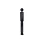 FCS Struts 342905 Shock Absorber
