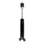 FCS Struts 343339 Shock Absorber