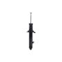 FCS Struts 343362R Suspension Strut
