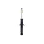 FCS Struts 345398 Suspension Strut