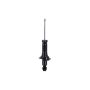 FCS Struts 345414 Suspension Strut