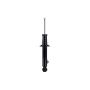 FCS Struts 345439 Suspension Strut