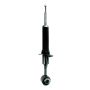 FCS Struts 345444 Suspension Strut