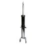 FCS Struts 345556 Suspension Strut