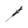 FCS Struts 345567 Suspension Strut
