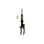 FCS Struts 345677R Suspension Strut