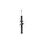 FCS Struts 345760R Suspension Strut