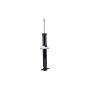FCS Struts 345883 Shock Absorber