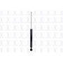 FCS Struts 346017 Shock Absorber