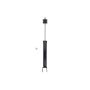 FCS Struts 346128 Shock Absorber
