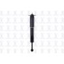 FCS Struts 346175 Shock Absorber