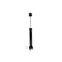 FCS Struts 346258 Shock Absorber