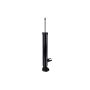 FCS Struts 346465R Shock Absorber