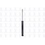FCS Struts 346579 Shock Absorber